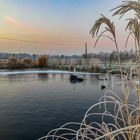 De Worfthoeve Bed & Breakfast Geel Bagian luar foto