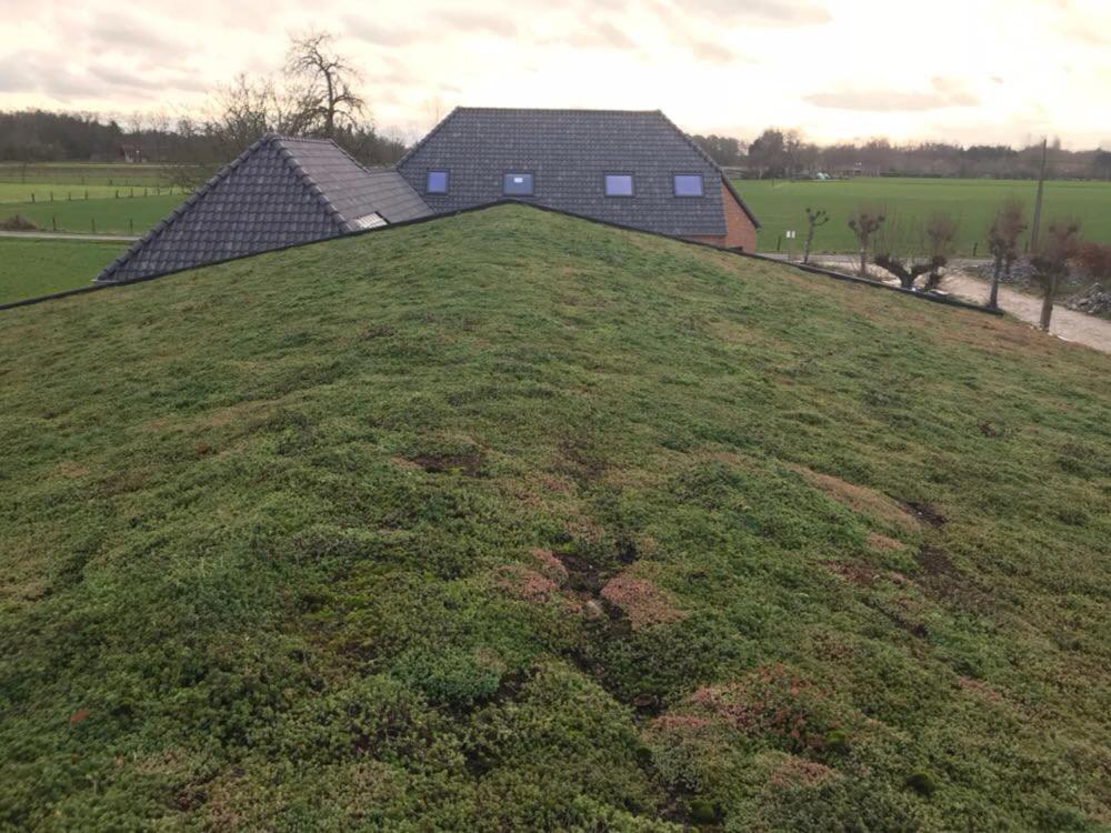 De Worfthoeve Bed & Breakfast Geel Bagian luar foto