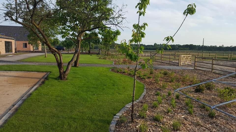 De Worfthoeve Bed & Breakfast Geel Bagian luar foto
