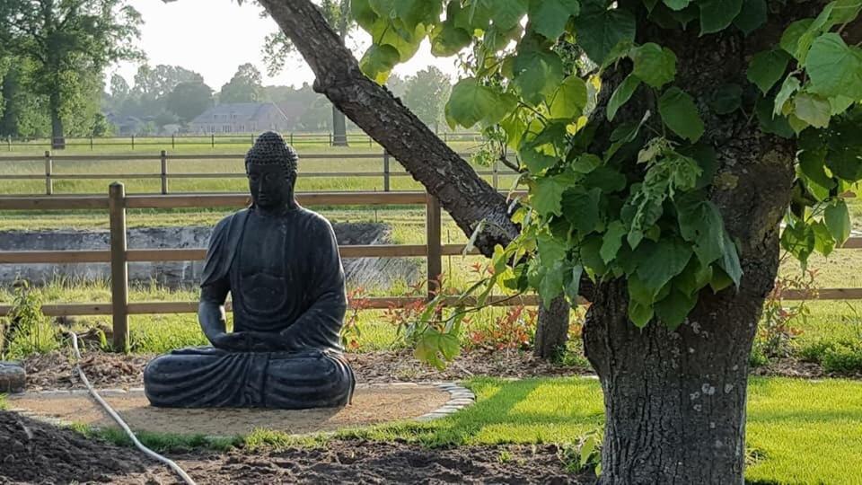 De Worfthoeve Bed & Breakfast Geel Bagian luar foto