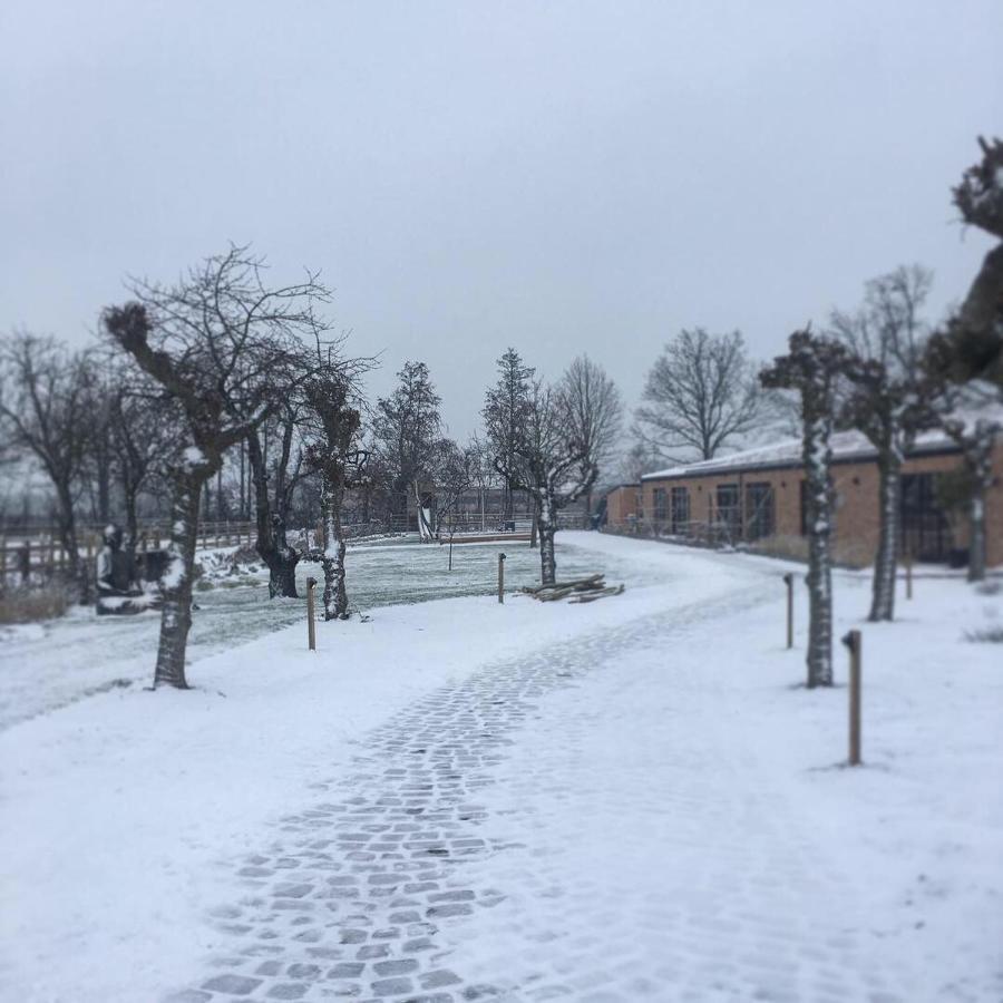 De Worfthoeve Bed & Breakfast Geel Bagian luar foto