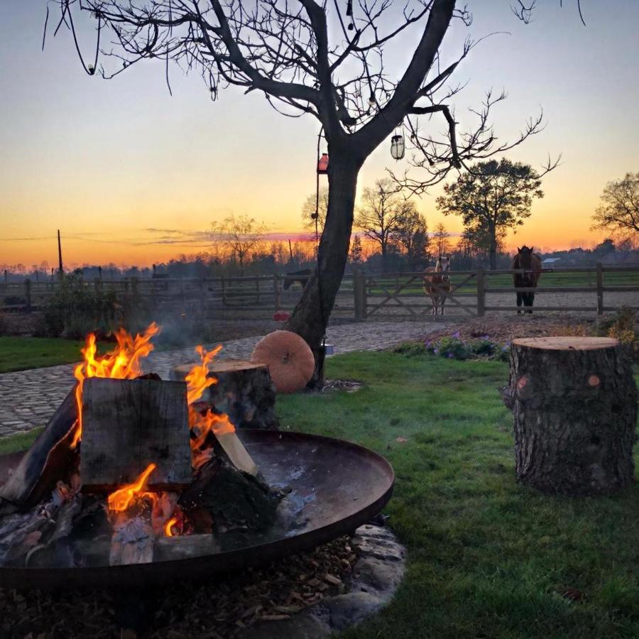 De Worfthoeve Bed & Breakfast Geel Bagian luar foto
