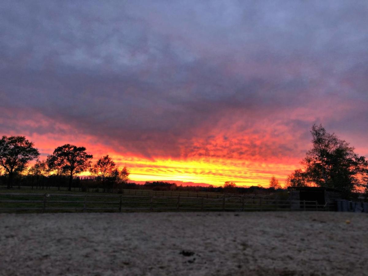 De Worfthoeve Bed & Breakfast Geel Bagian luar foto