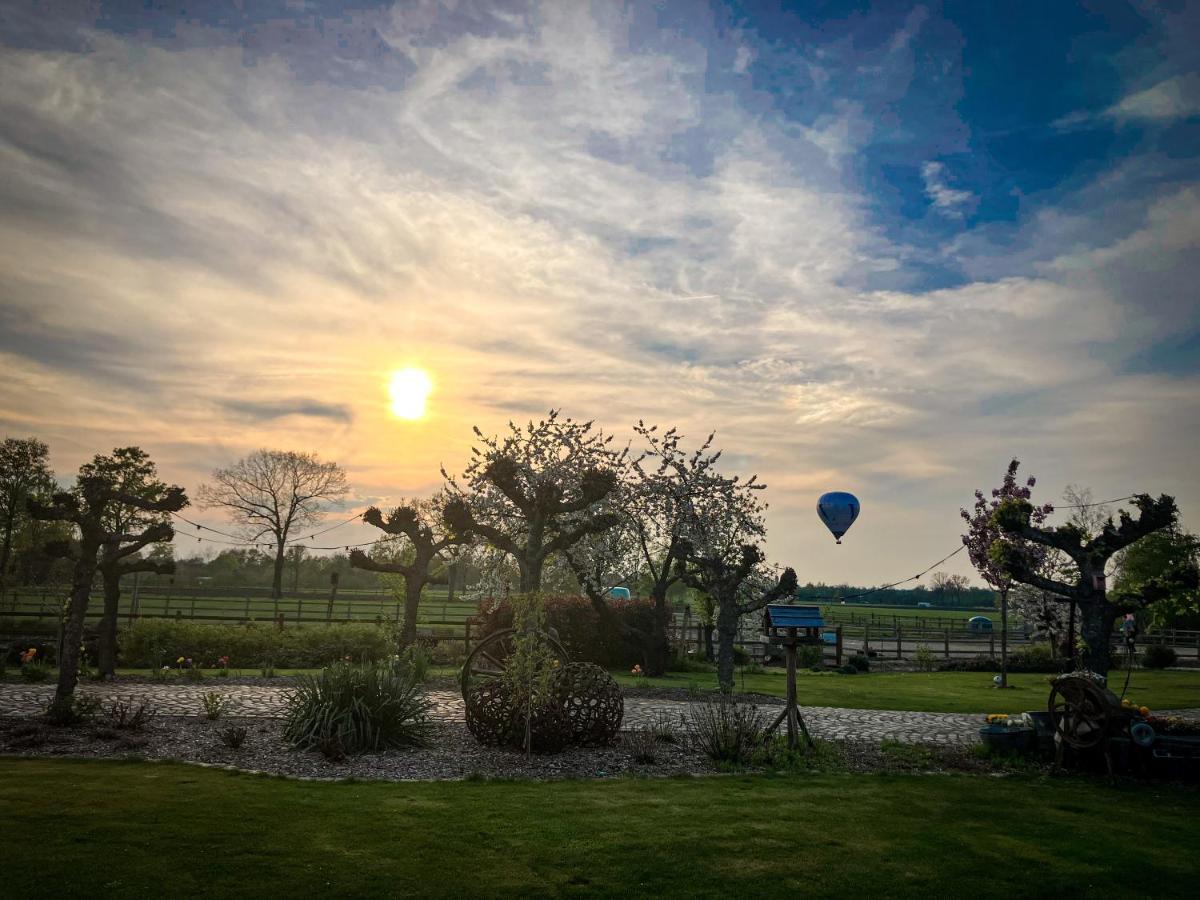 De Worfthoeve Bed & Breakfast Geel Bagian luar foto